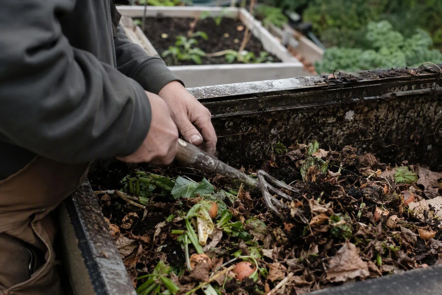Hands mix leafy scraps and dry leaves in a backyard bin to improve airflow and heat.