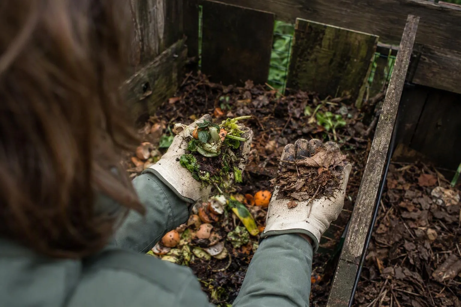 Hands compare damp green scraps with dry brown leaves beside a layered compost bay.