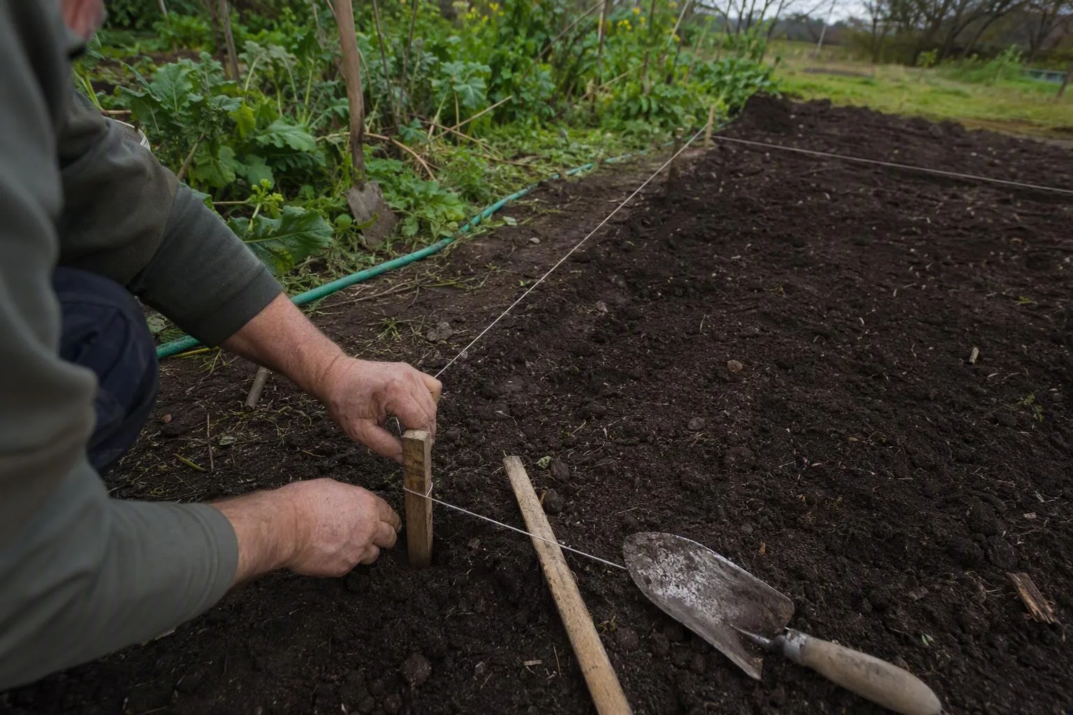 Marked bed corners, a measuring stick, and a nearby hose show how the plot is being chosen for light and access.